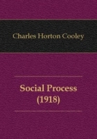Social Process артикул 4648b.